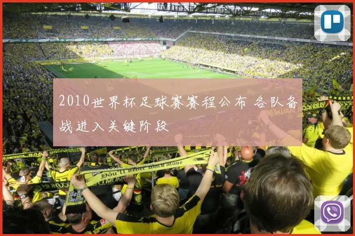 2010世界杯足球赛赛程公布 各队备战进入关键阶段