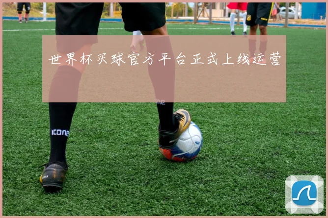 世界杯买球官方平台正式上线运营